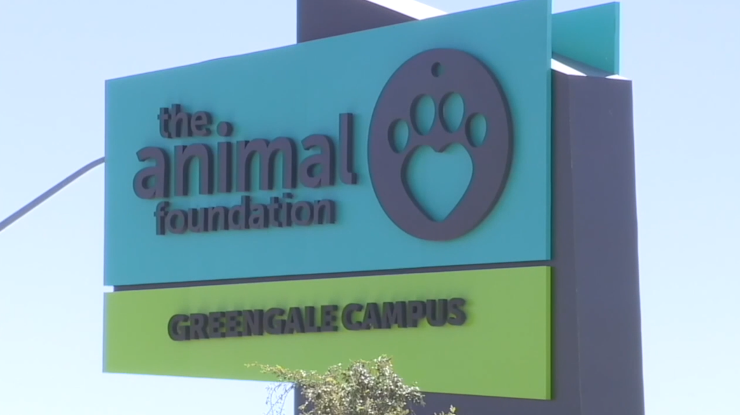 The Animal Foundation