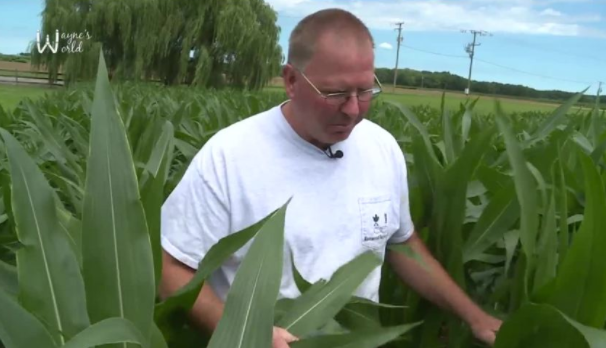 For Virginia farmer, breaking records is in his family's DNA
