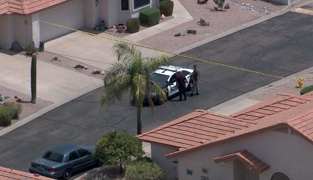 Mesa newborn found.png