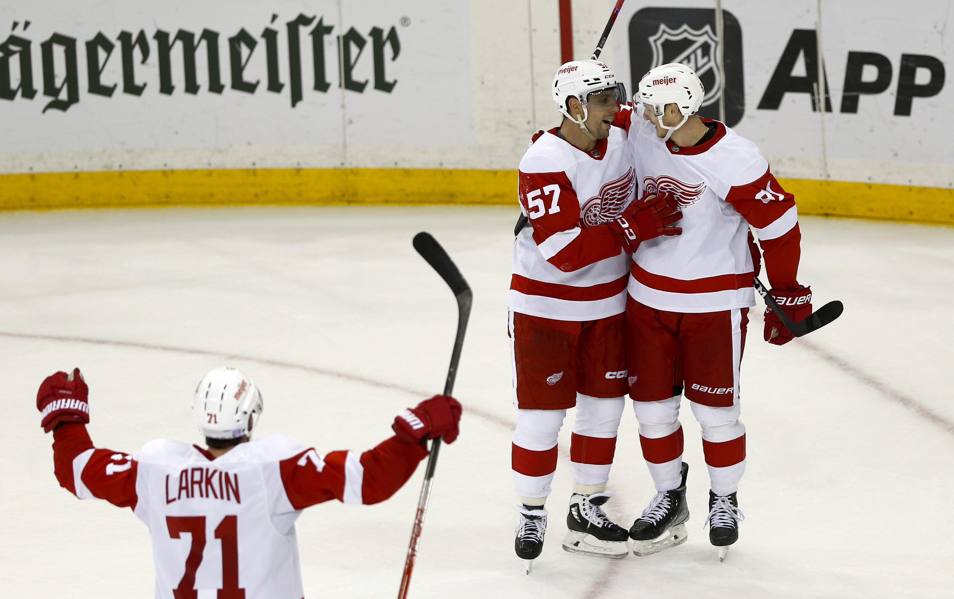 Red Wings Rangers Hockey