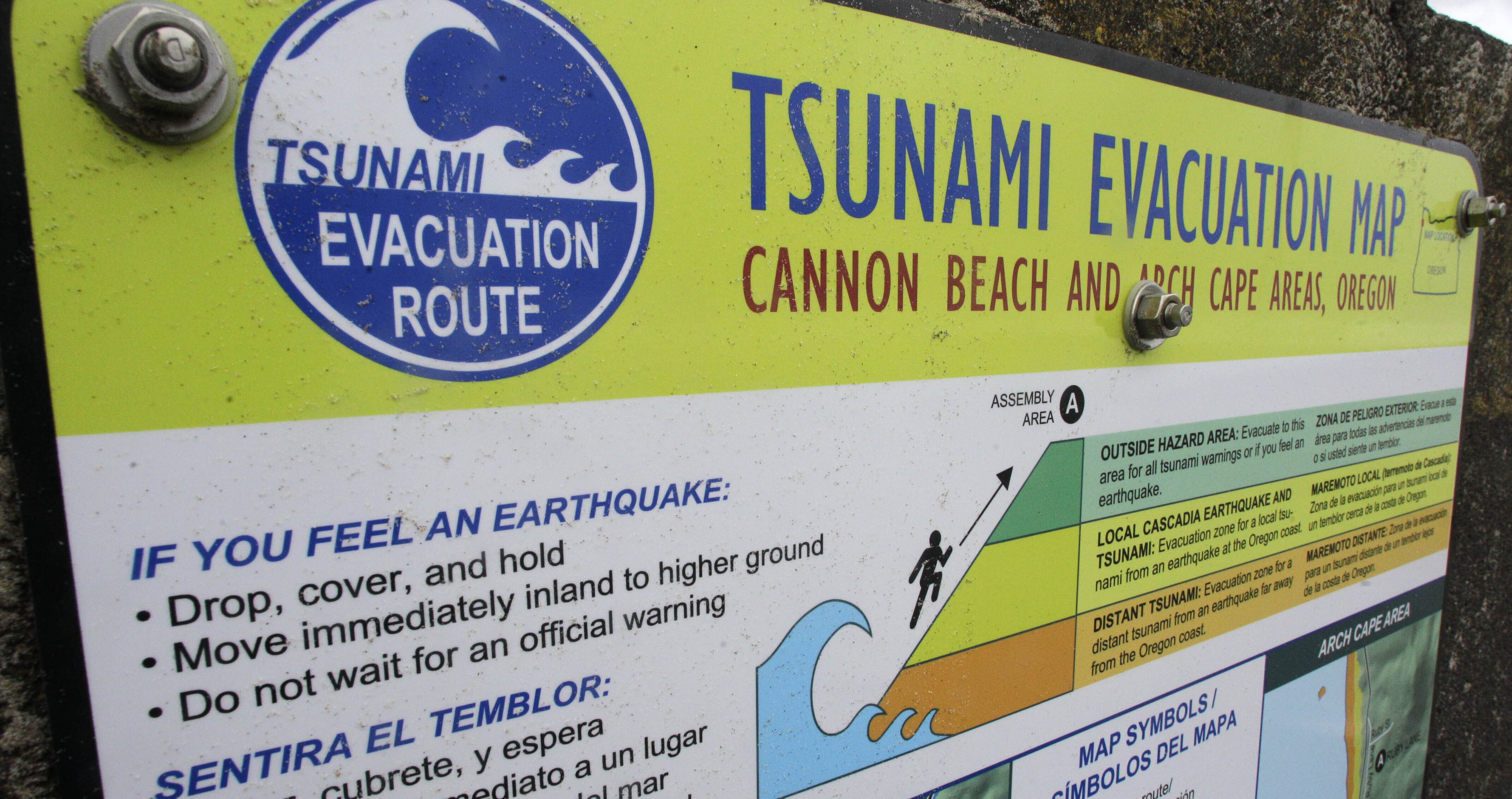 Tsunamis What to Know