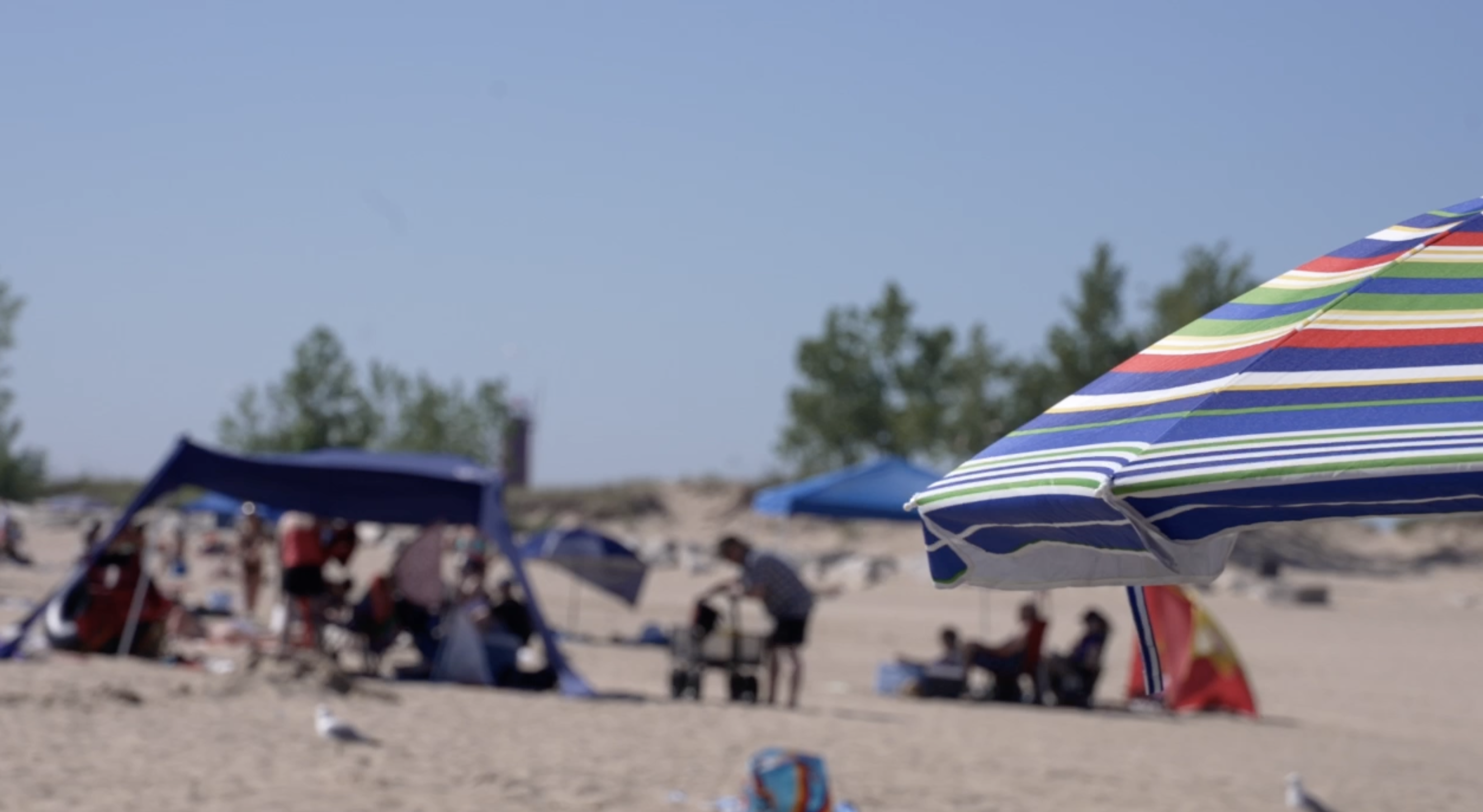 Pere Marquette Beach