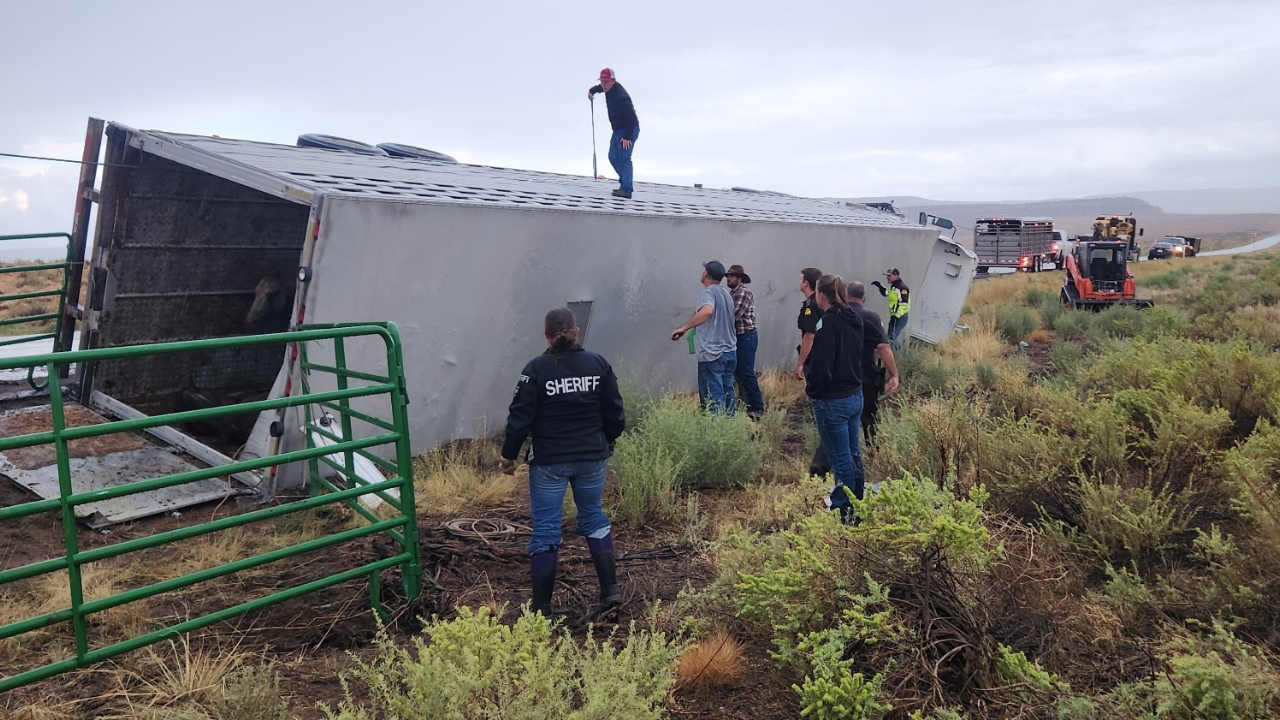 San Juan County Horse Trailer.png