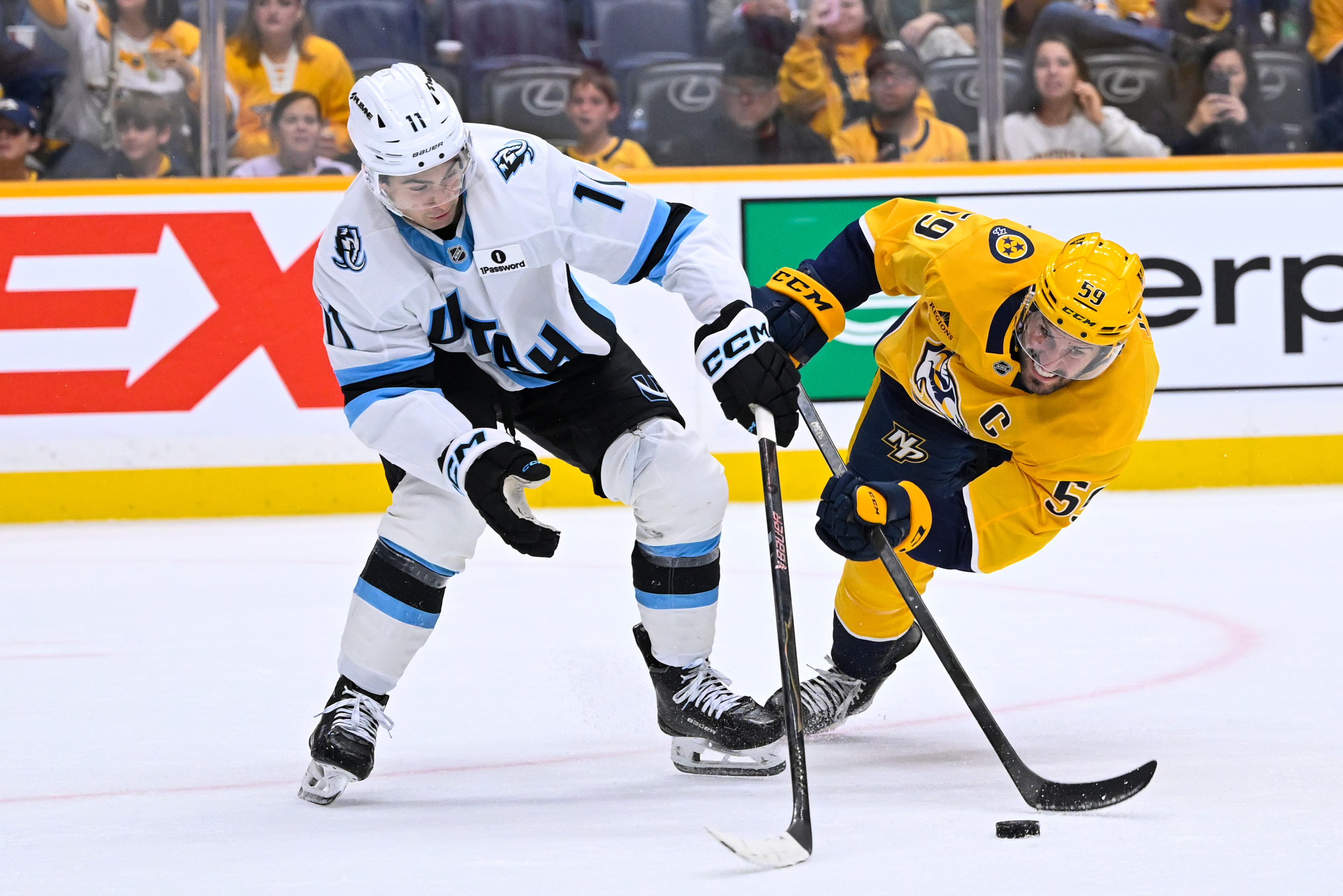 Mammoth Predators Hockey