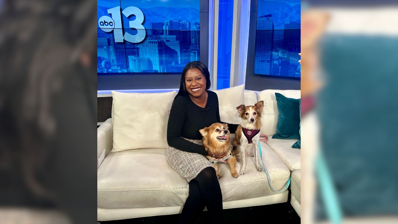 Pet of the week: Oct. 15