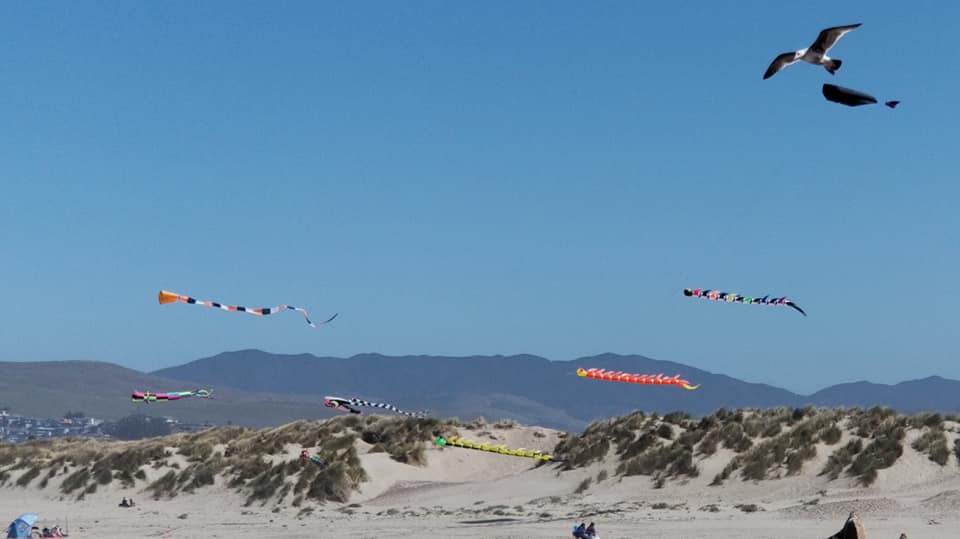 Let's go fly a kite (it Morro Bay)