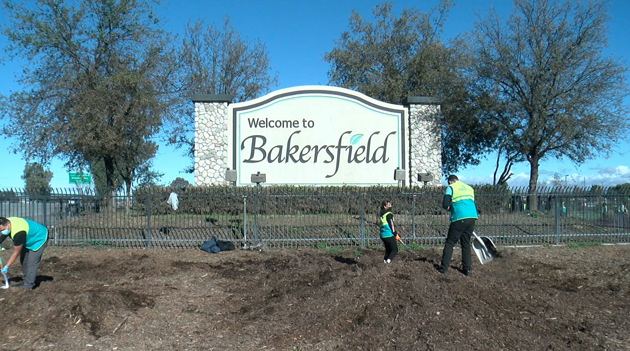 McKee Park Clean Up, Bakersfield