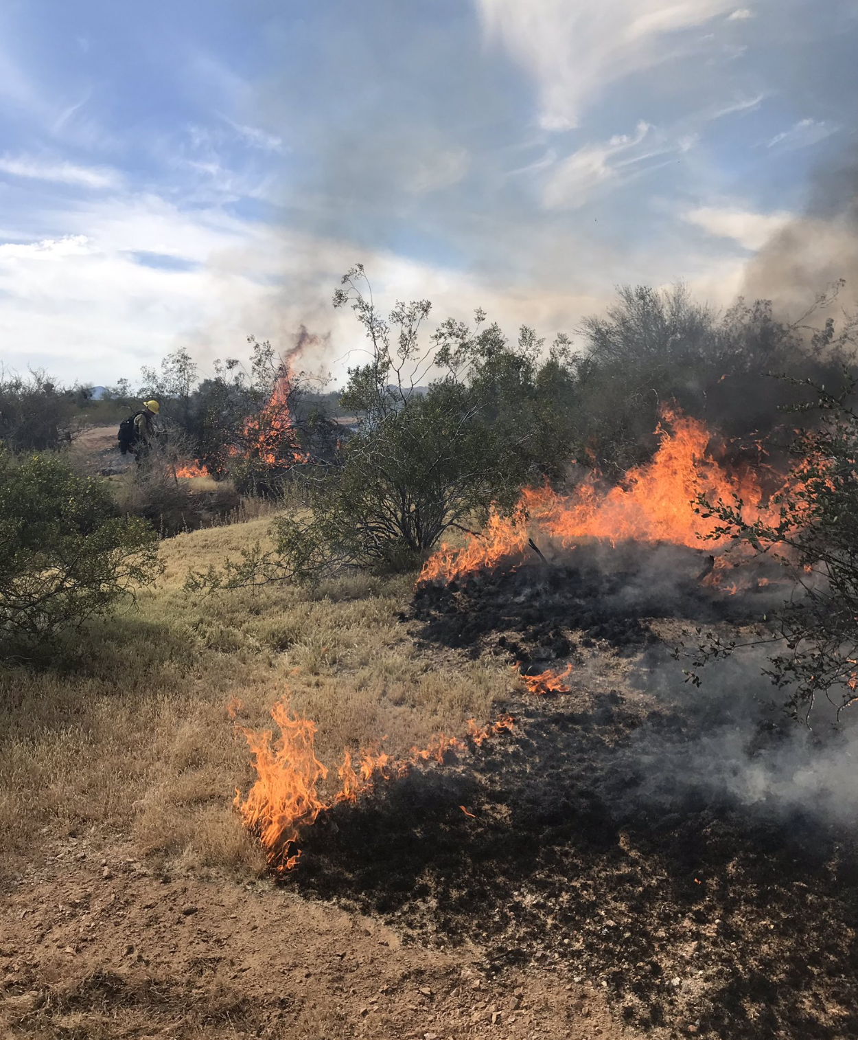 Painted Wagon fire near Wittmann