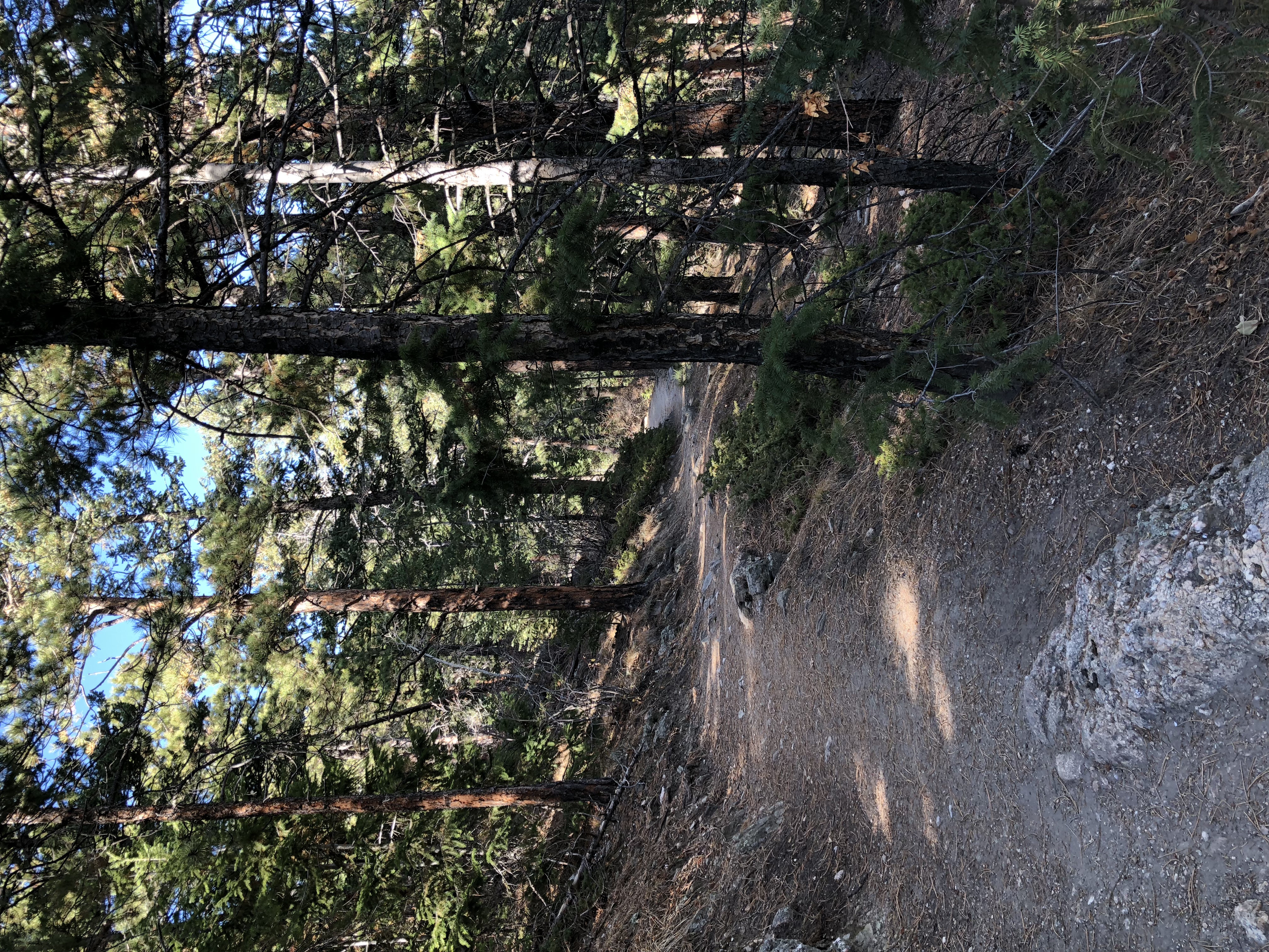 Colorado trails