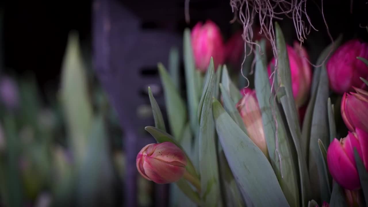 Poster image (2).jpg