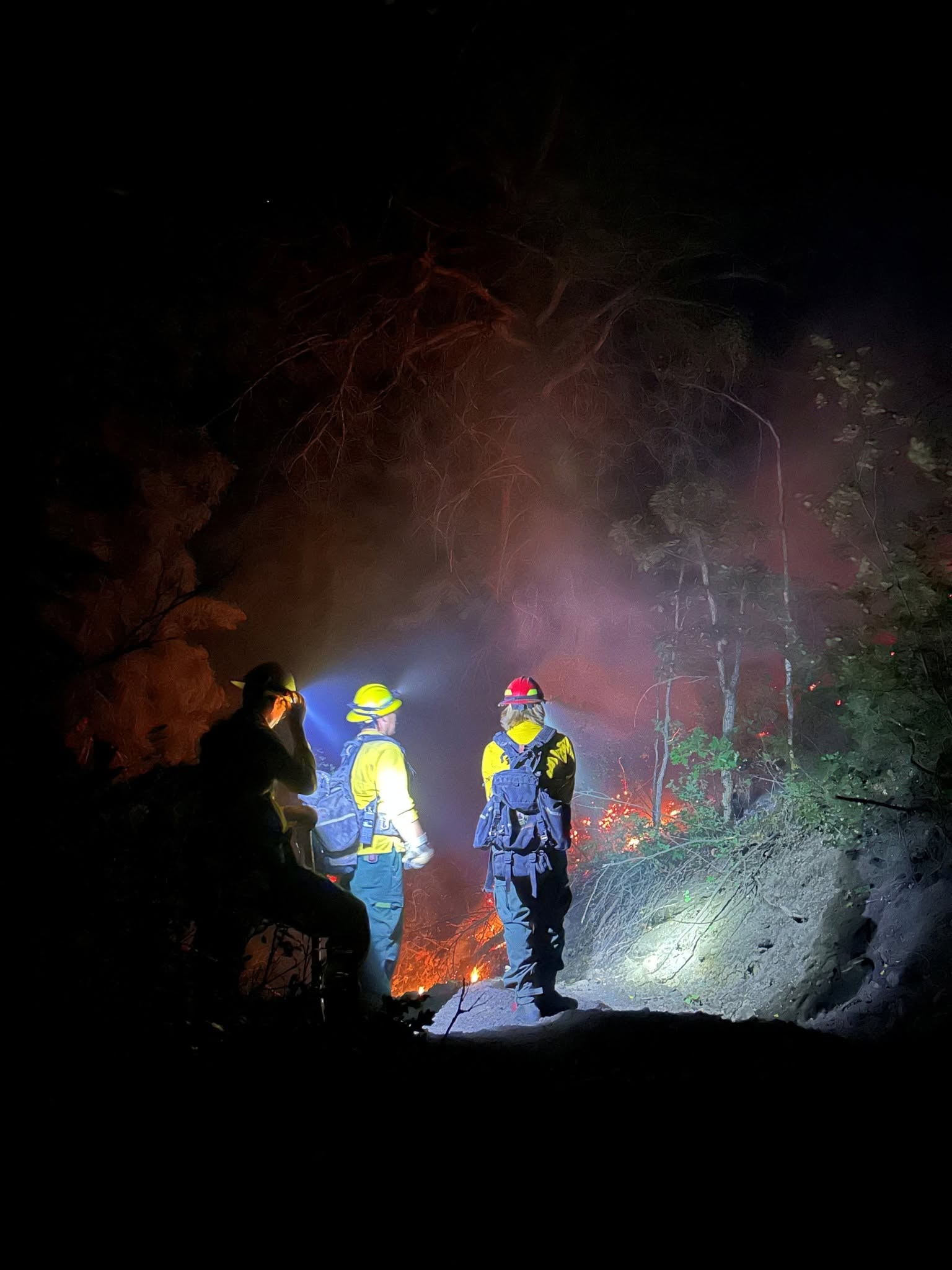 gold mountain fire.jpg