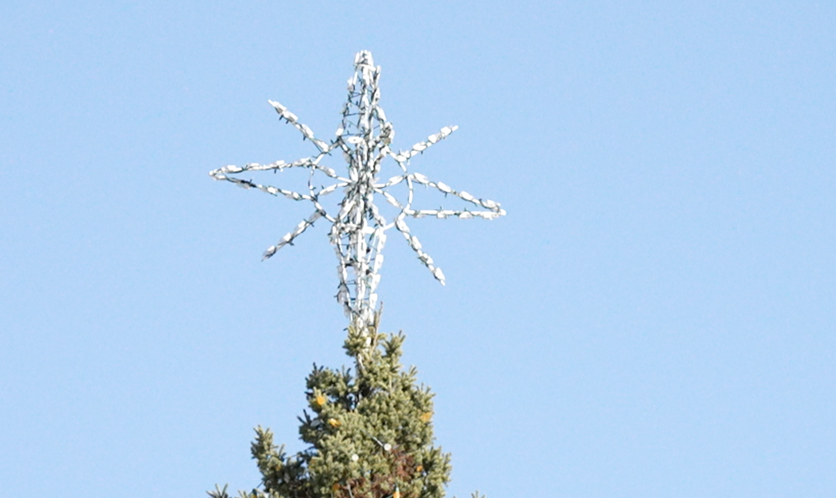 State Christmas Tree
