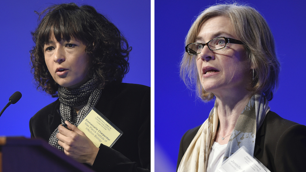 Nobel Prize for chemistry goes to two scientists for work on genome editing