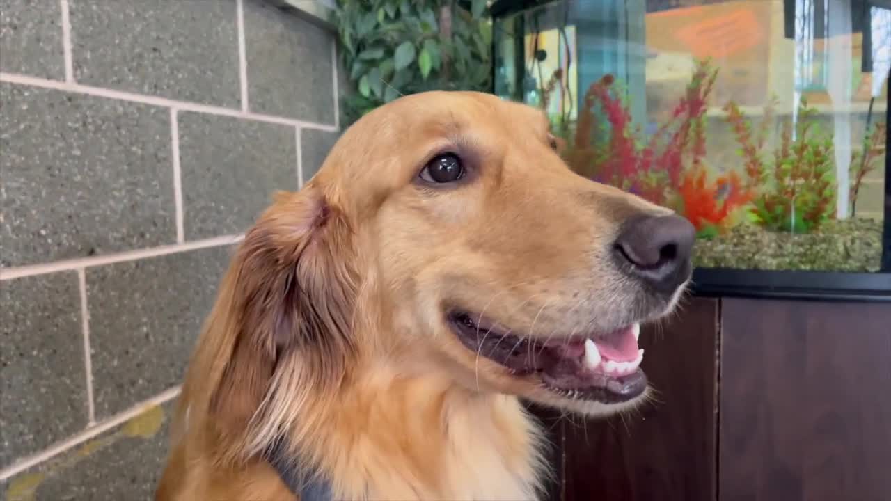 Poster image (34).jpg