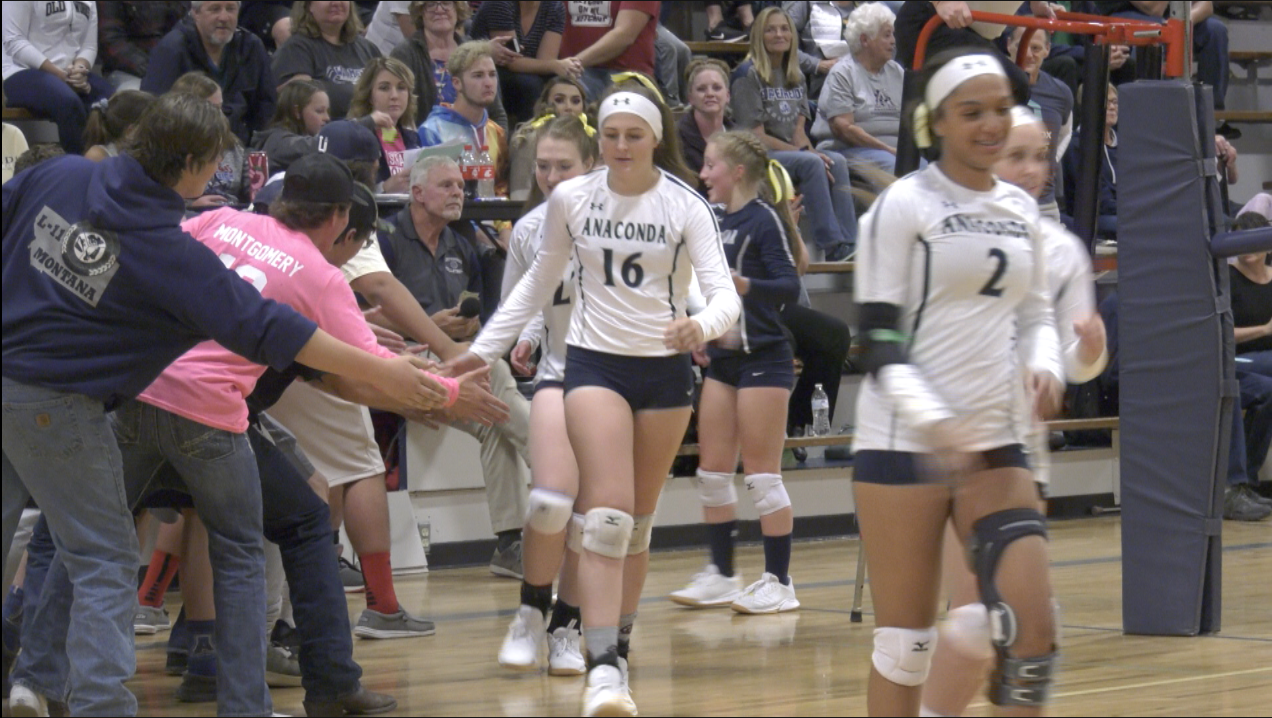 Anaconda volleyball