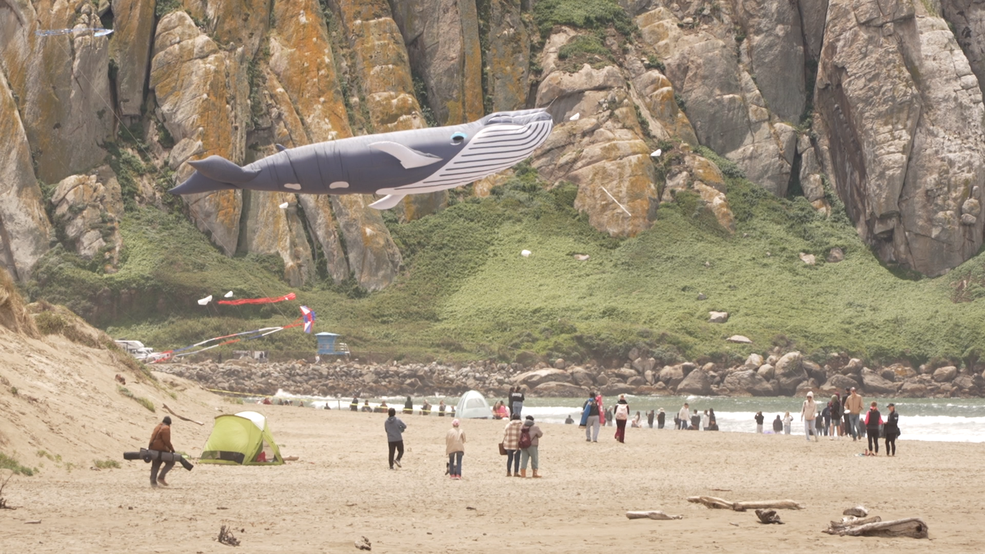 MORRO BAY KITE FESTIVAL VO.00_00_16_02.Still002.png