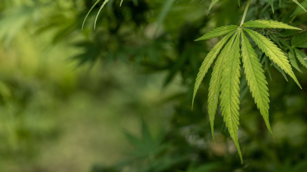 HORIZONTAL TEMPLATES - 2026-03-08T130910.524.jpg