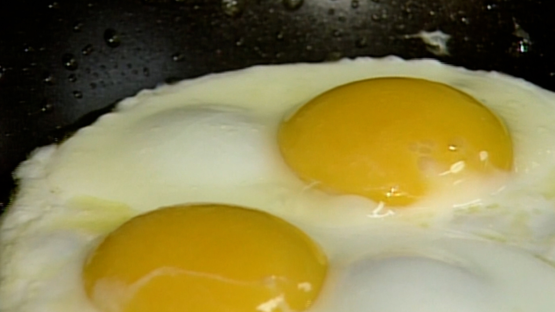 egg.jpg