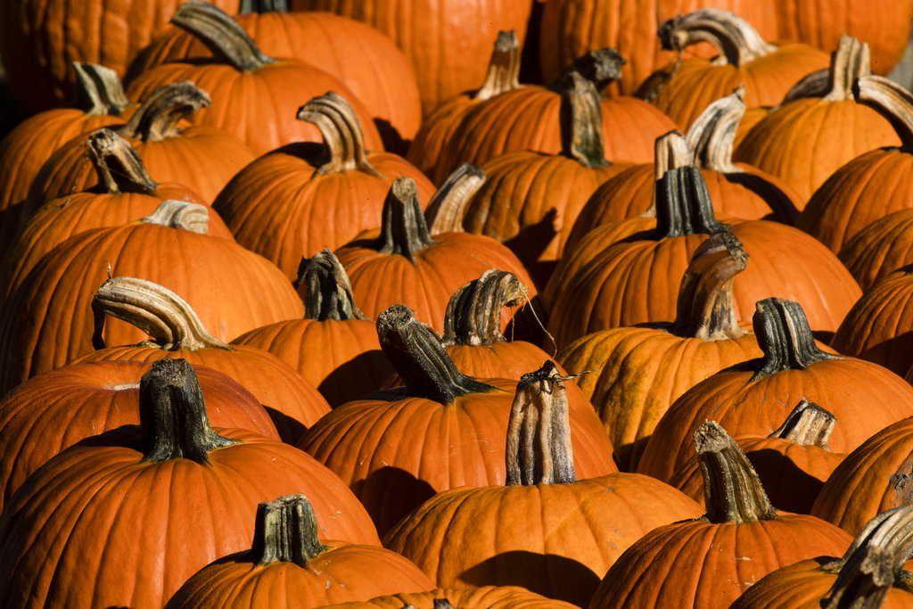 Pennsylvania Daily Life