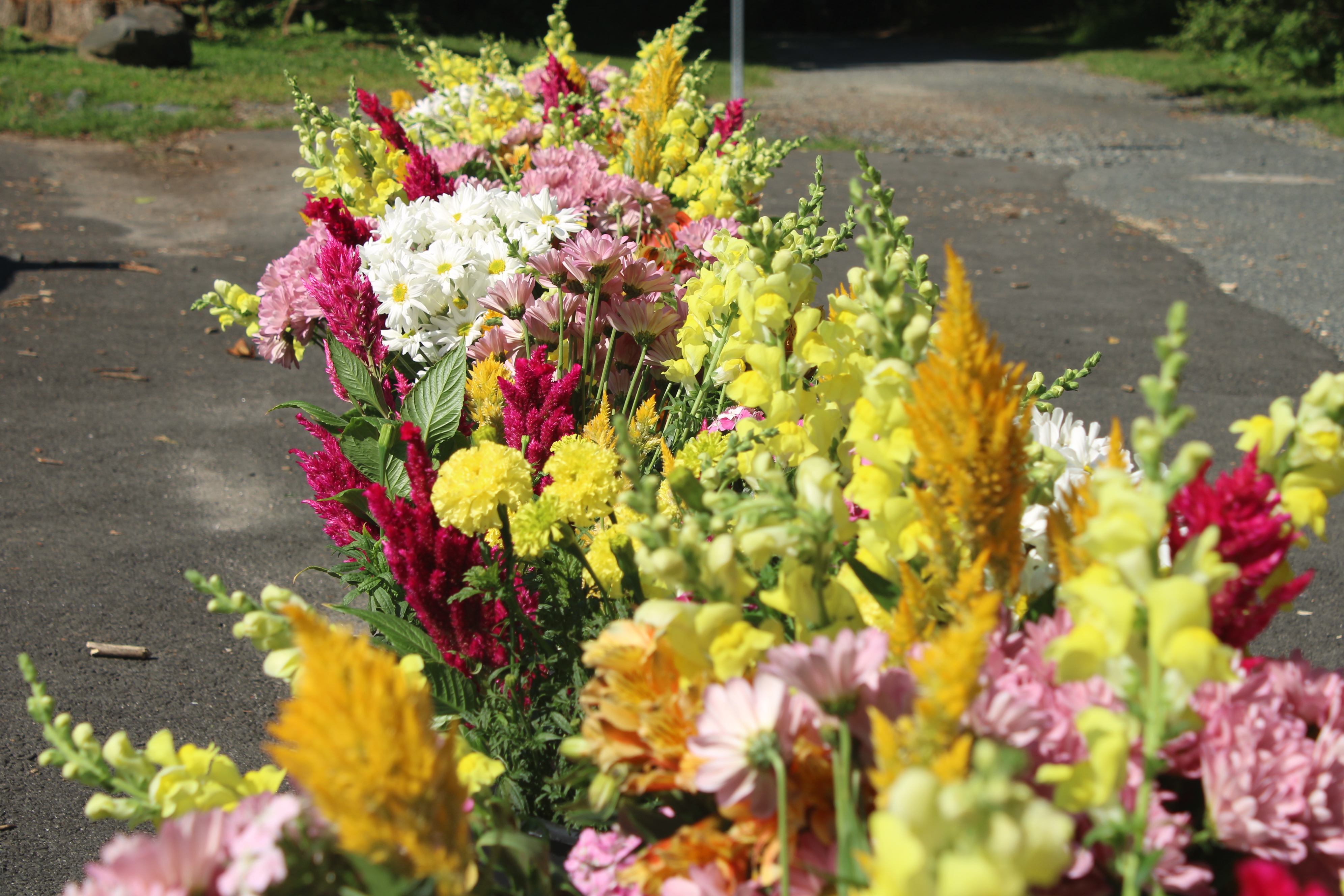 Rachel Morin Remembrance Walk