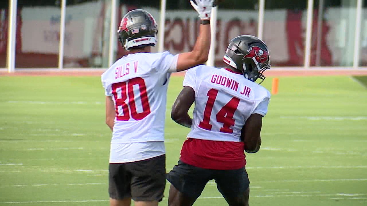 Godwin sills.jpg