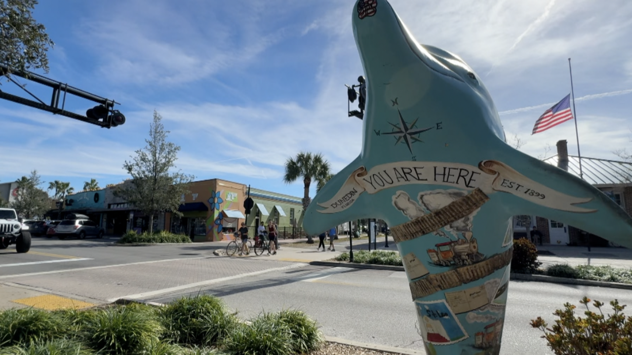 dunedin development.png