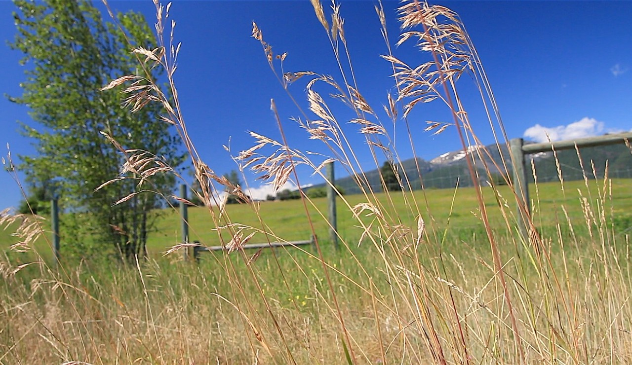 Ravalli County Fire Danger