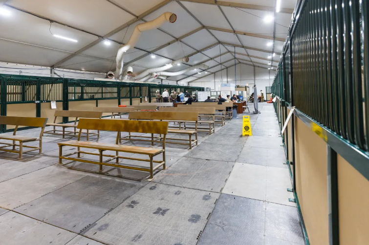 Operation Lone Star Del Rio