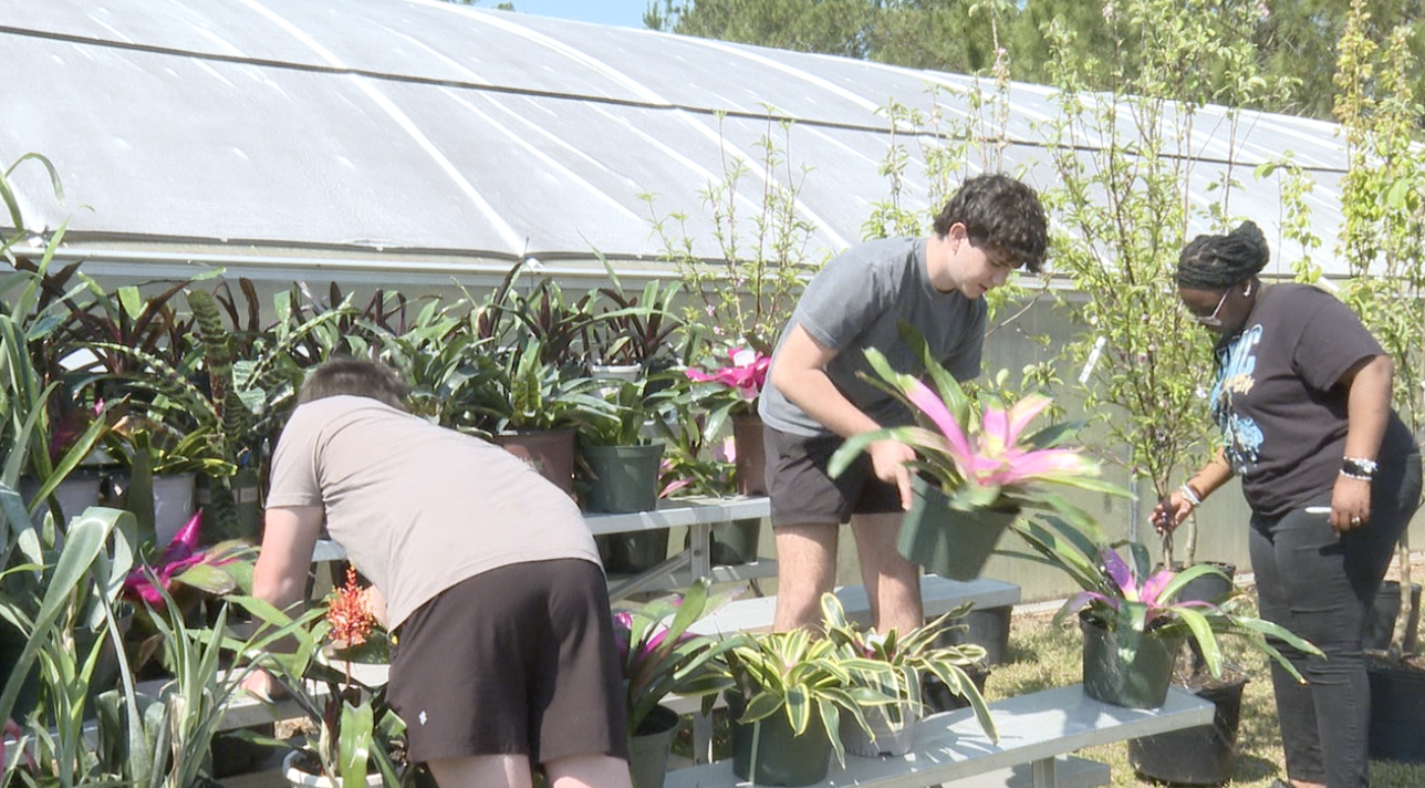 Bainbridge High School agricultural students