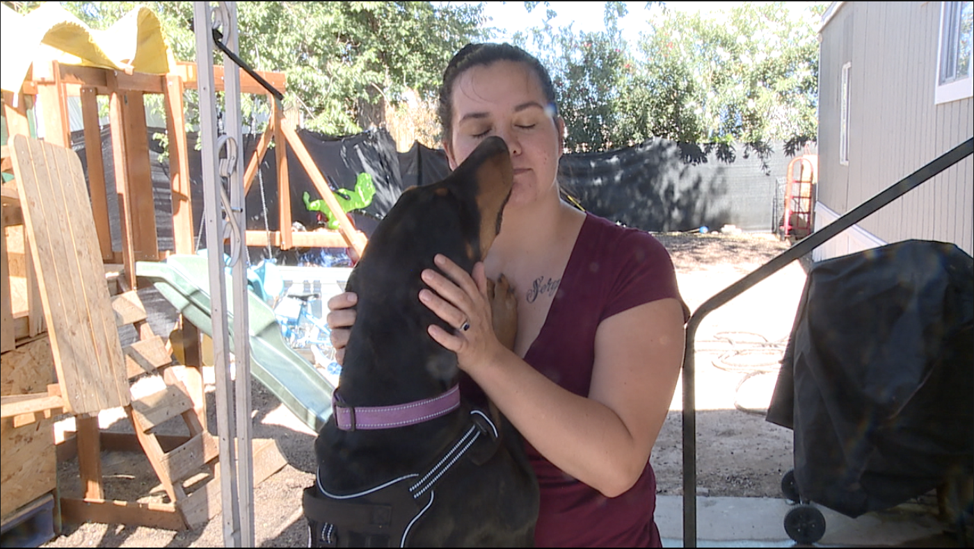 Emotional Support Dog