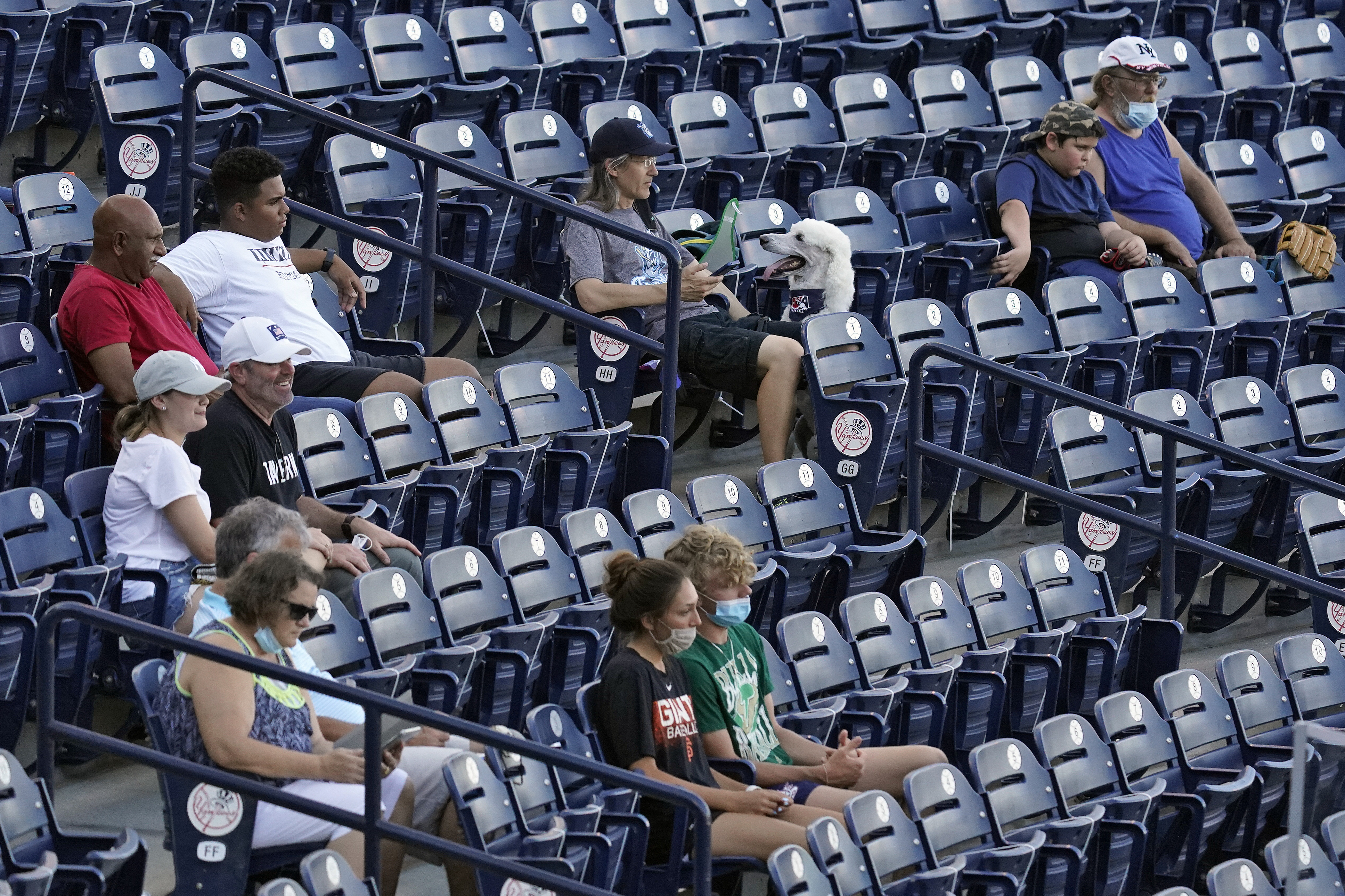 Minor League Baseball Return