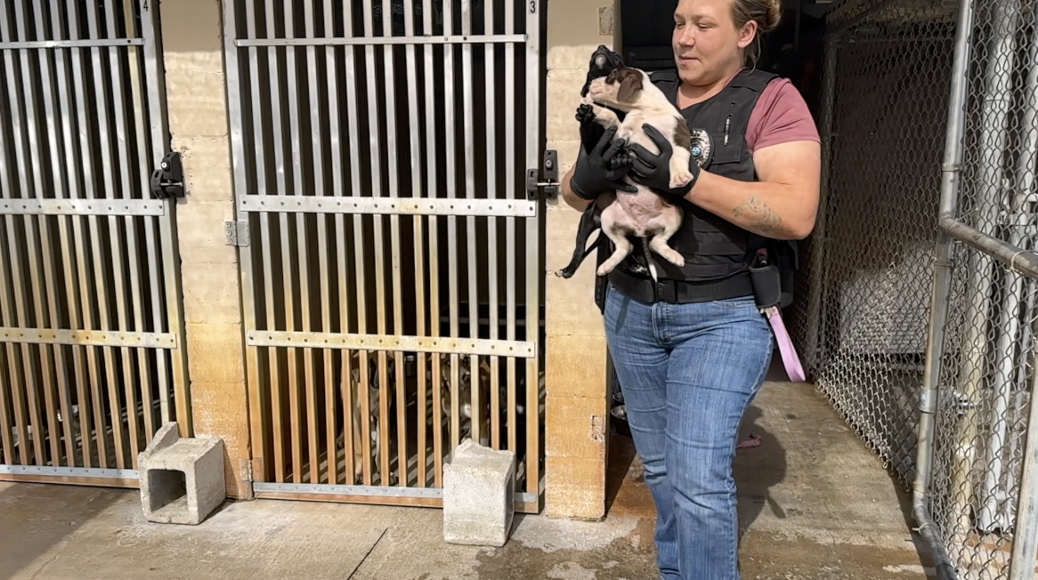 LaBelle Animal Control Officer 