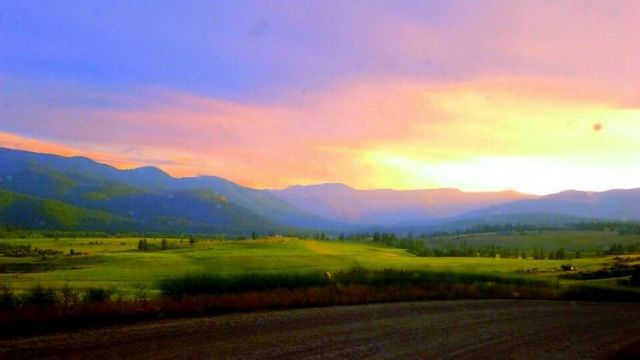 Obituary: Lee A. Dickinson