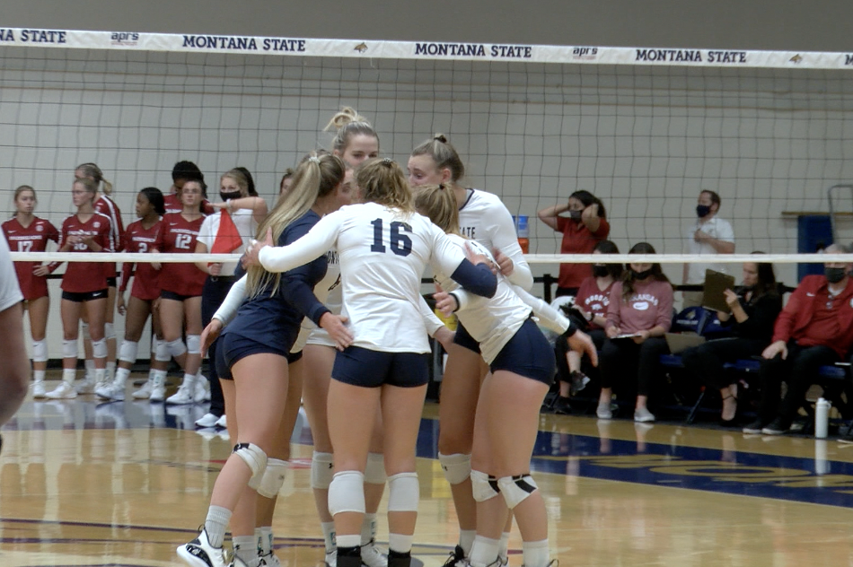 Montana State Volleyball