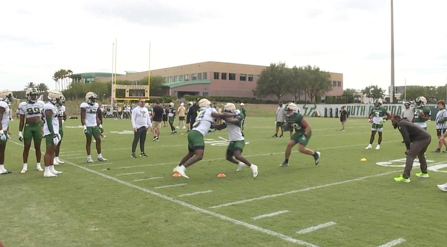 USF Football 2.png