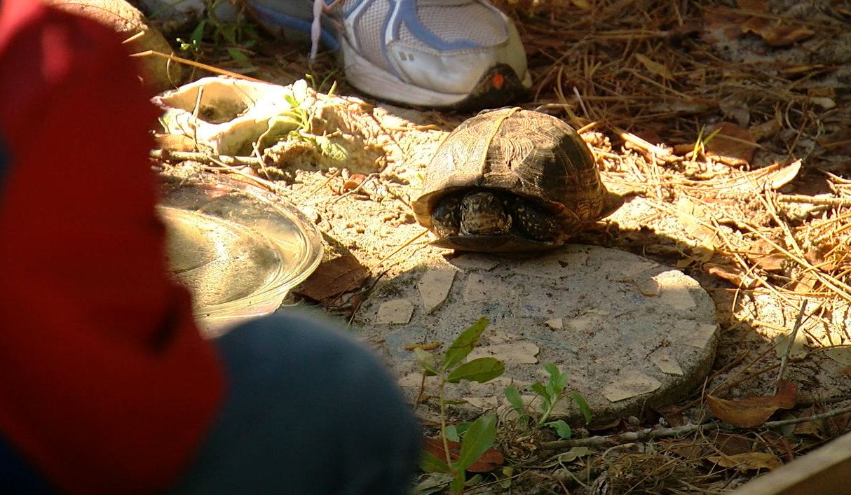 Springs Coast Environmental Center