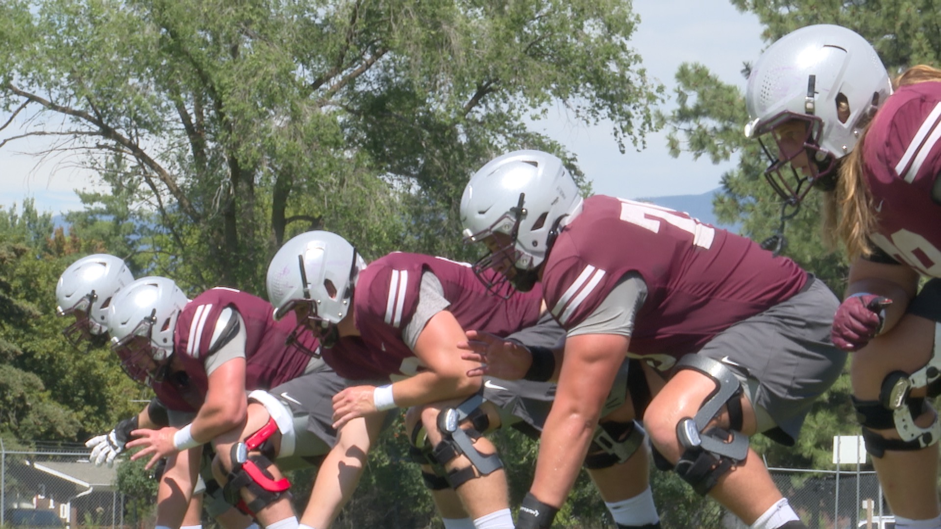 GRIZ O LINE.jpg