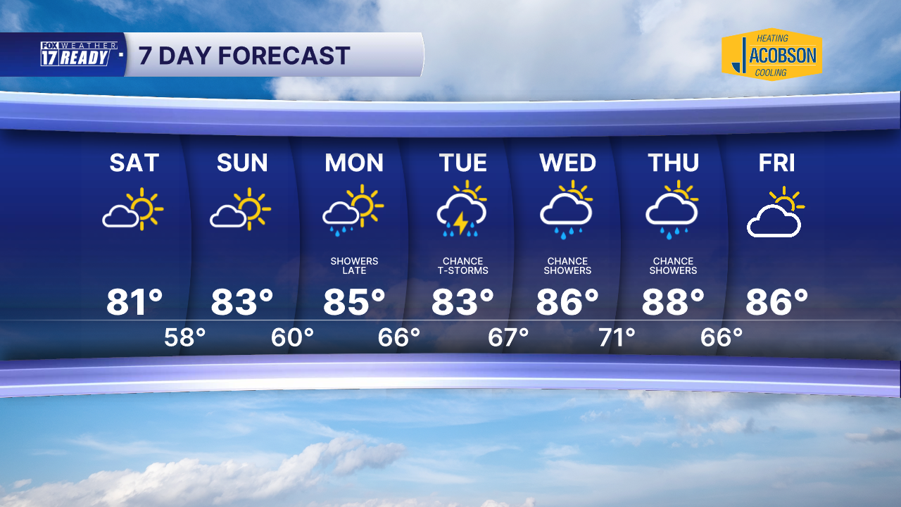 7 DAY FORECAST