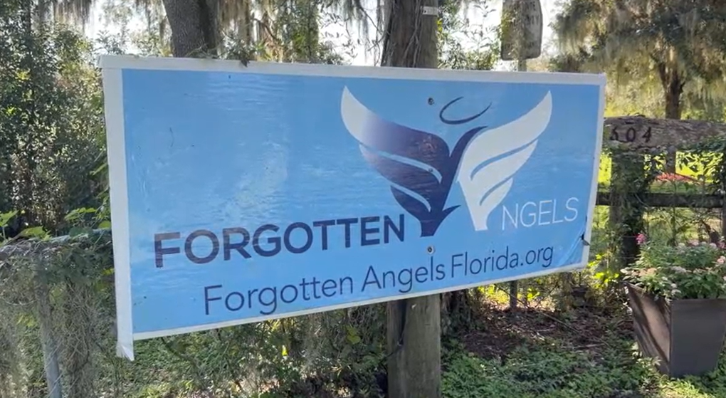 Forgotten Angels