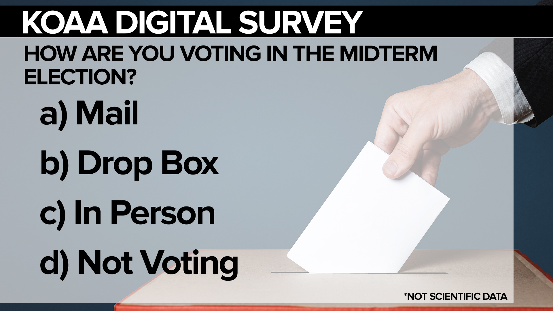 SURVEY Voting.jpg