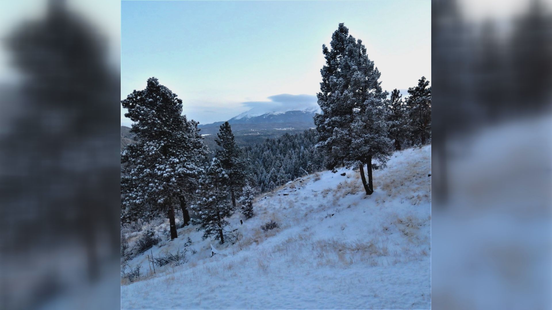 Woodland Park snow