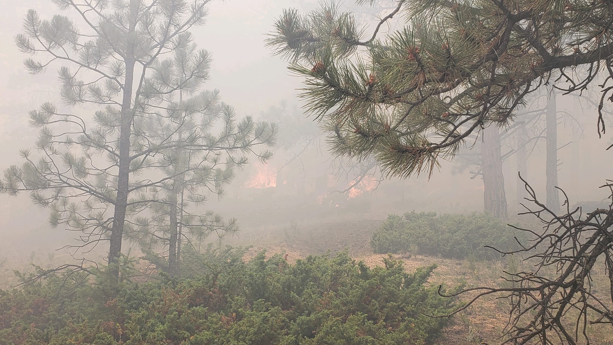 Teller County Sheriff's Office fire_july 26 2023