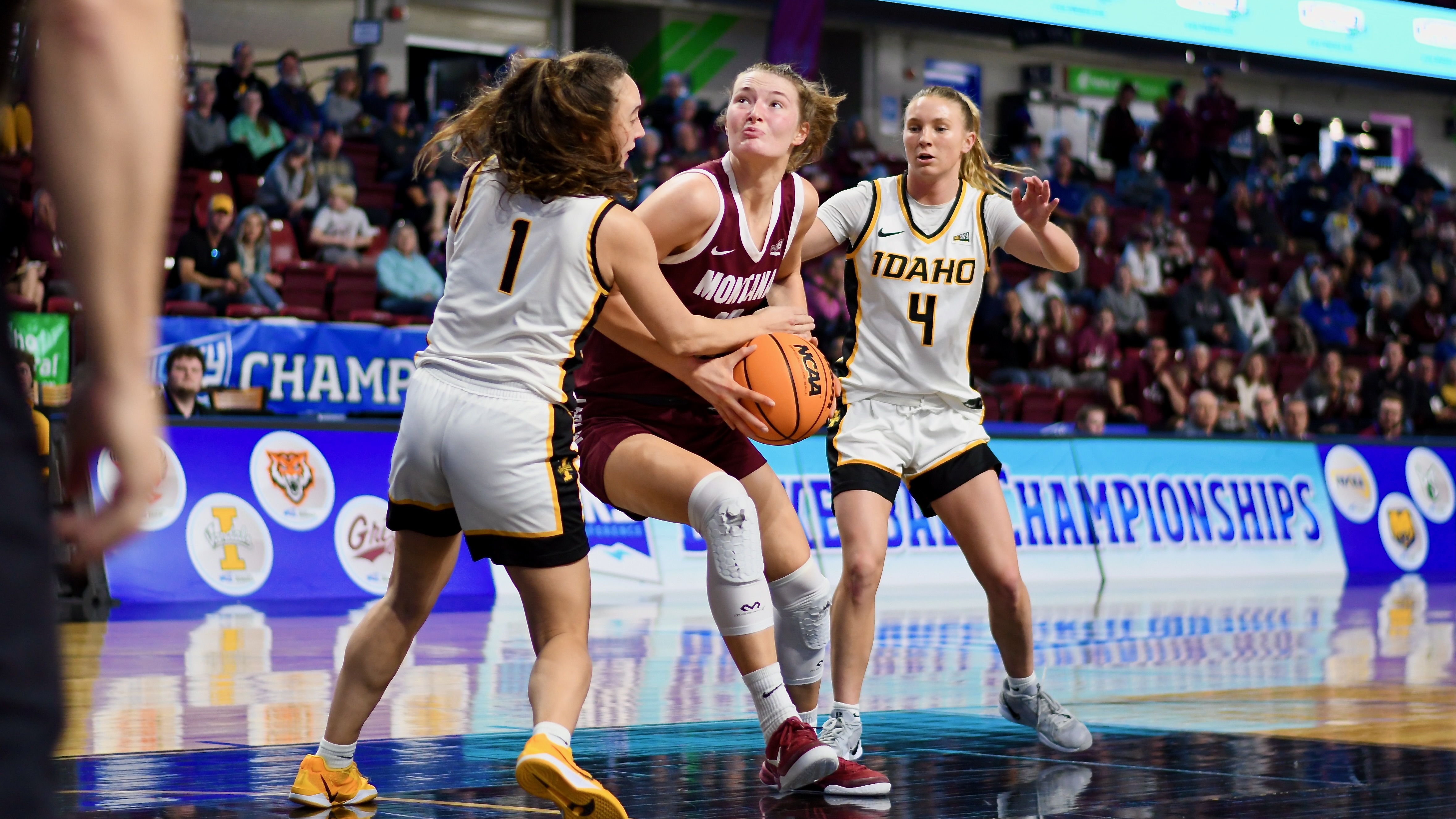 Montana Lady Griz versus Idaho women's basketball