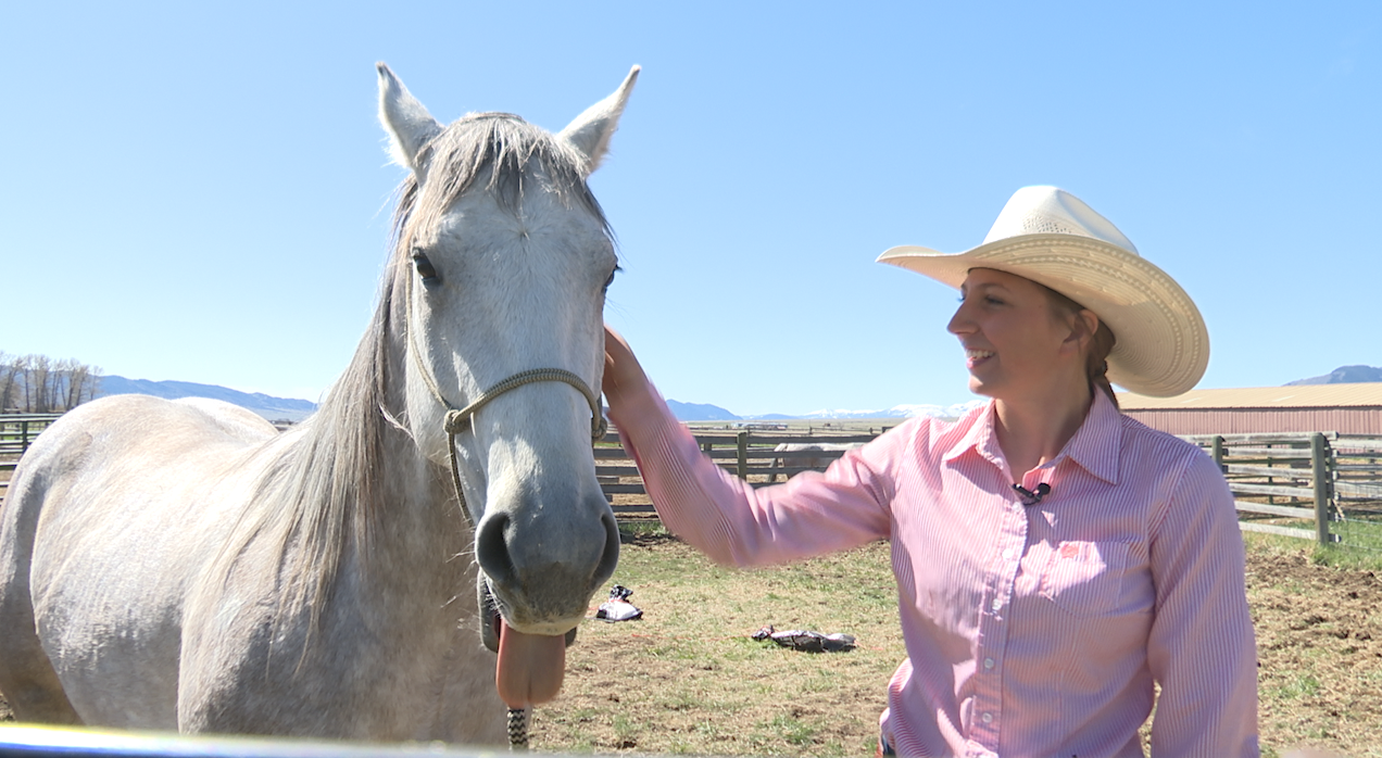 Boulder barn breaks green horses: 'make progress everyday'
