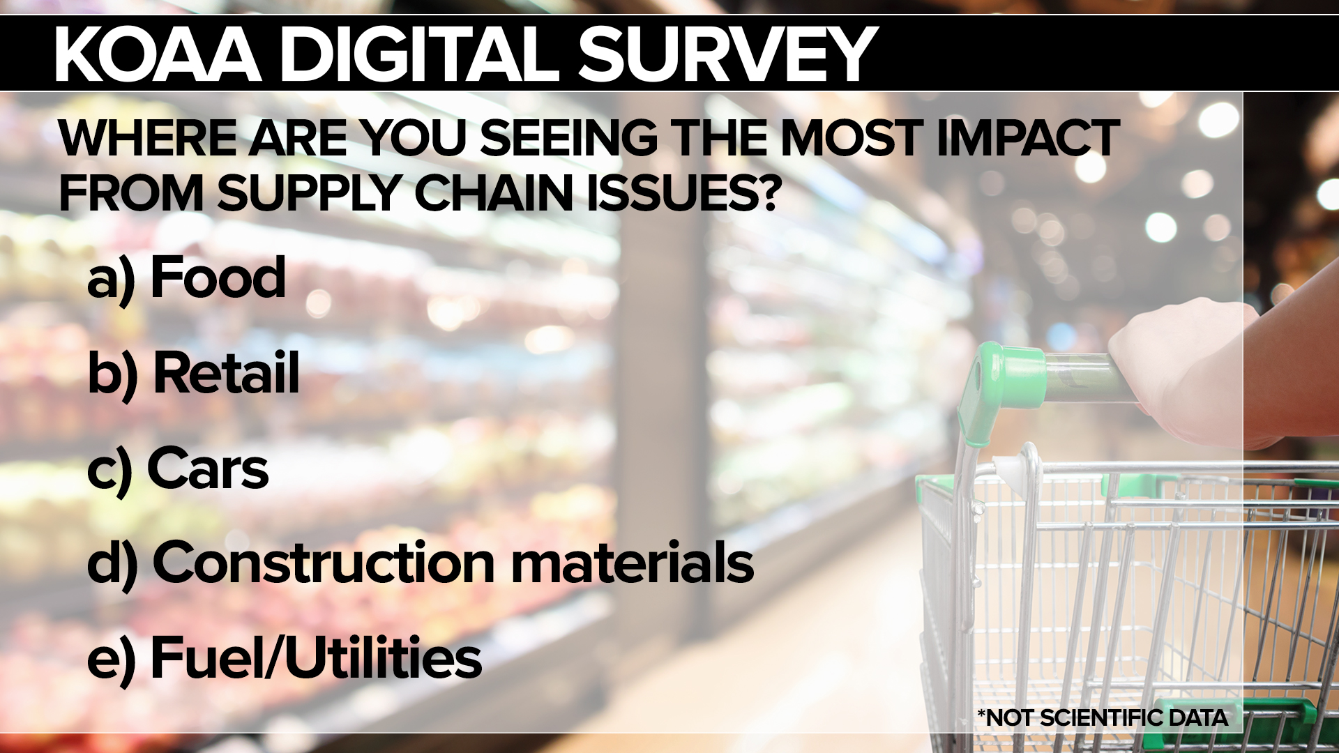 Supply Chain Issues Survey