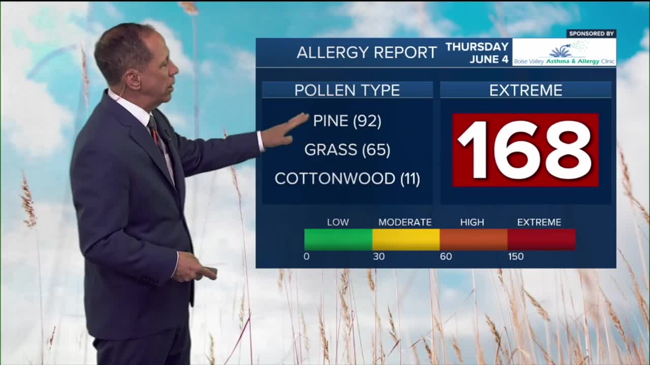 pollen.jpg