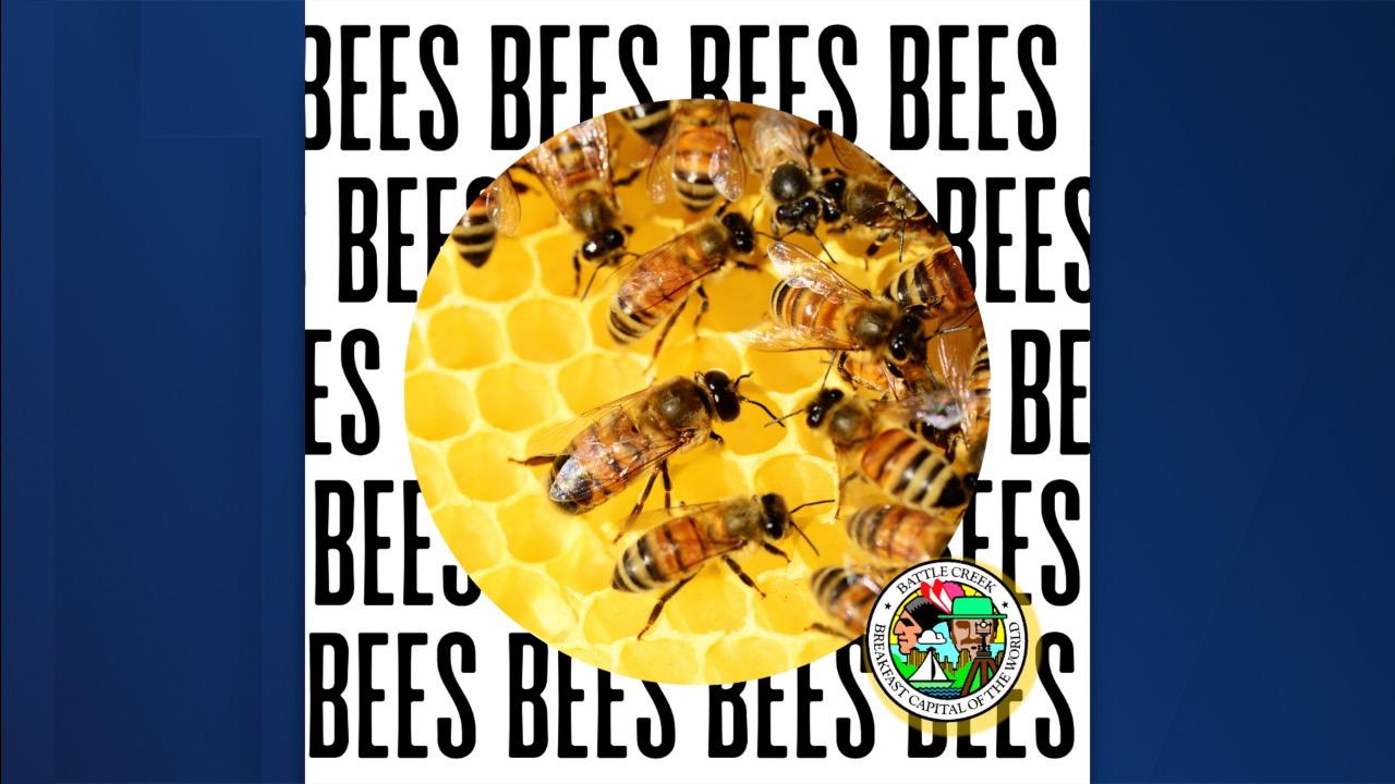 bees.jpg