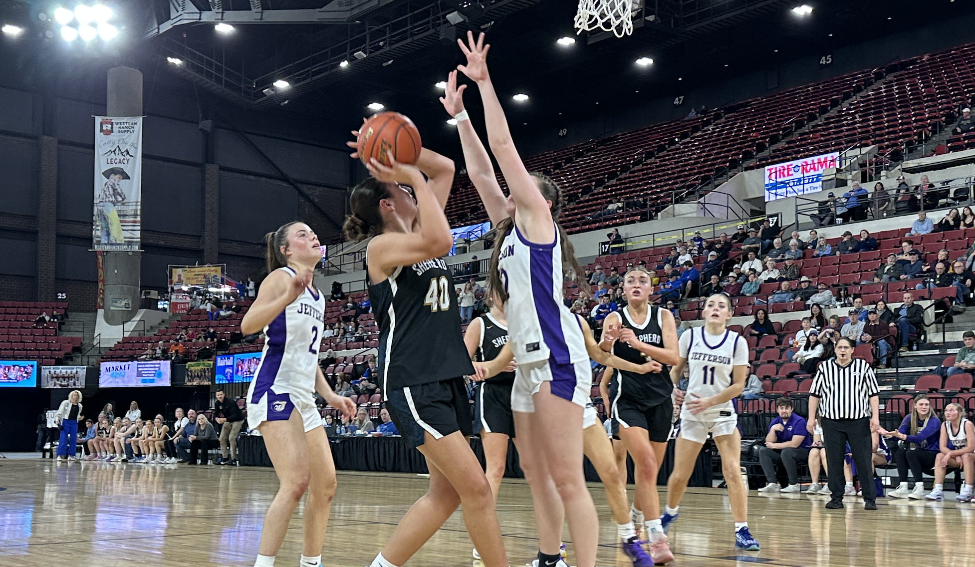 Jefferson Shepherd GBB