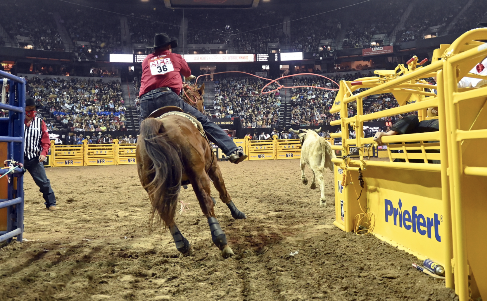 Clay Tryan 3.7 NFR.png