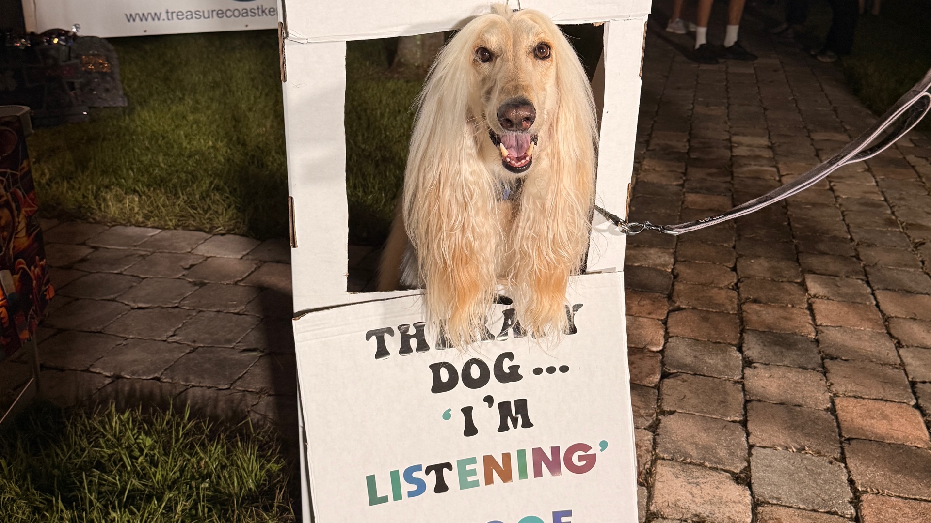 Families and dog lovers can head to Fort Pierce this weekend for Responsible Dog Ownership Day at Dogs and Cats Forever Animal Sanctuary. The free event includes dog demonstrations, raffles, food trucks, kids activities and support for local shelter pets.